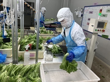 株式会社バイテックベジタブルファクトリー-6