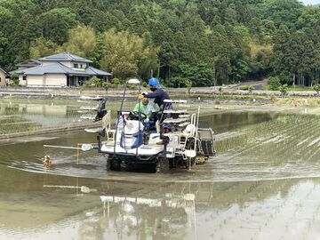 福井市 「師匠に入門！ ちびっと就農体験」 3日間-3