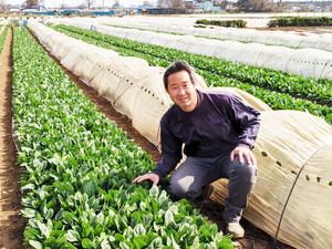 市川ファーム(埼玉)-top