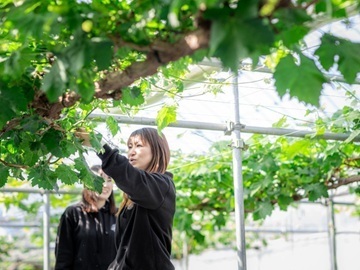 株式会社ハピネスワン-4