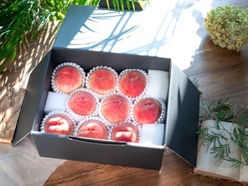 株式会社ハピネスワン-7