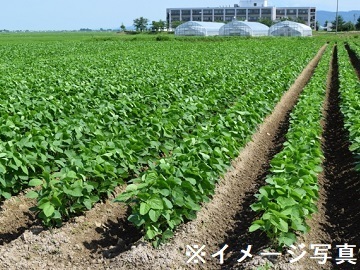 農事組合法人東海あくつ-2