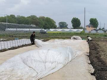 チャイナベジタブル 石原-7