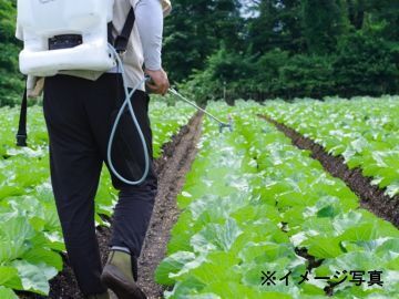 株式会社ナビック【新潟県:出荷管理】-1