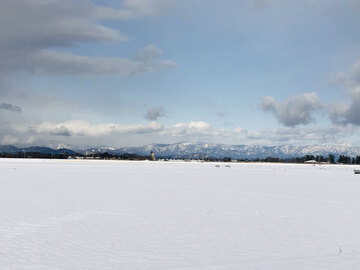 M's FARM-2