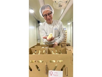 Hendrix Genetics Layers Japan合同会社-2