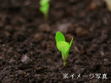 福岡県久留米市×生産管理/法人【43474】-top