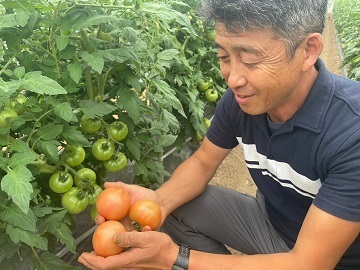 今井農園