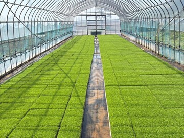 i-farm株式会社-3