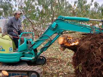 三枝農園(さいぐさのうえん)-6