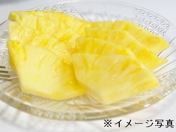 沖縄県石垣市×果樹・露地野菜/法人【43478】-2