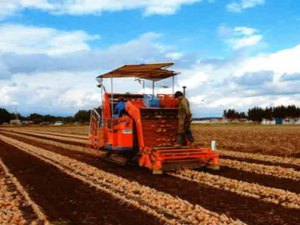 有限会社北海ファーム三和-top