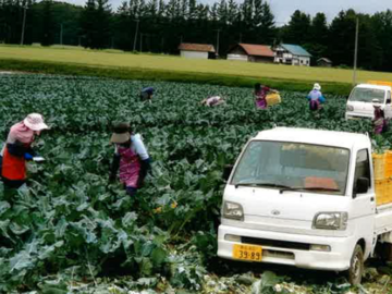 有限会社北海ファーム三和-3