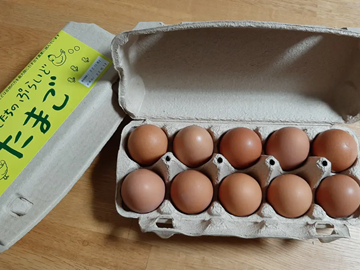 ぷらいどふぁーむ株式会社-4