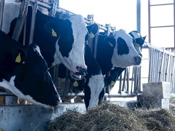 株式会社栗栖ファーム-2