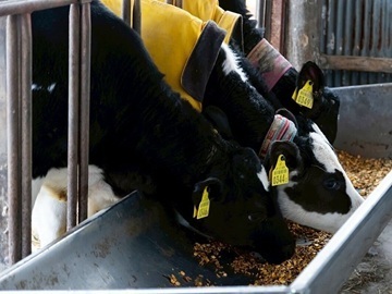 株式会社栗栖ファーム-3