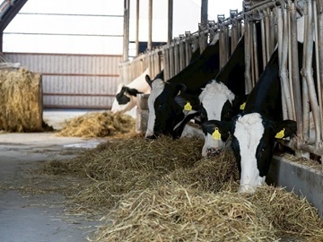 株式会社栗栖ファーム-5