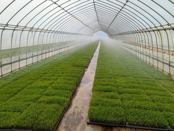 有限会社倉持農園サービス-8