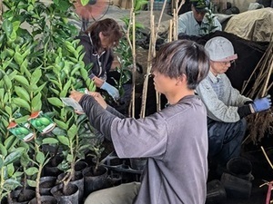 丸一農園有限会社-top