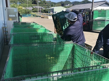 南紀梅干株式会社-7