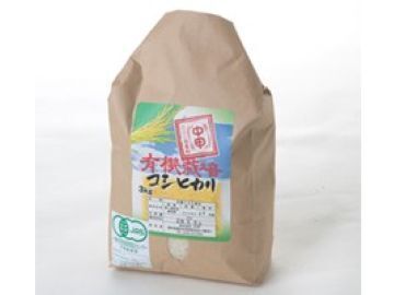 株式会社中甲-3