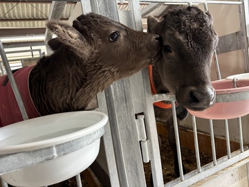 株式会社神戸ETセンター　いしど高原牧場-top