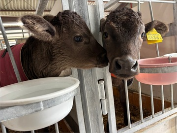 株式会社神戸ETセンター　いしど高原牧場-4