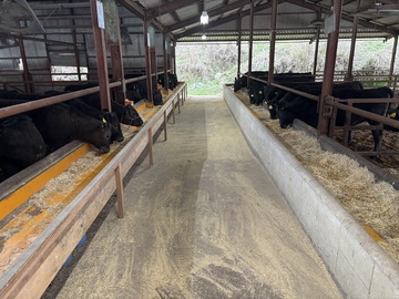 株式会社神戸ETセンター　いしど高原牧場-5