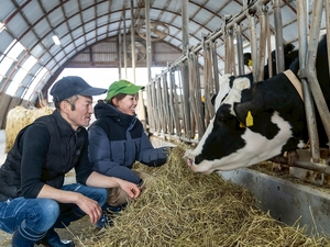 北海道別海町×酪農/法人【43490】-top