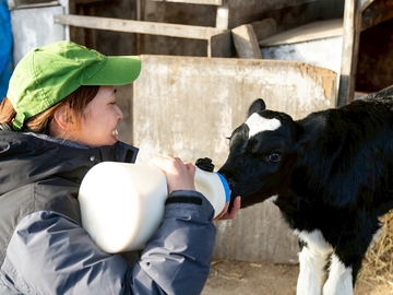 北海道別海町×酪農/法人【43490】-4