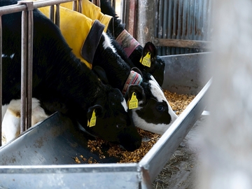 北海道別海町×酪農/法人【43490】-2