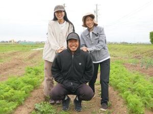 株式会社トリイアンドカンパニー-top