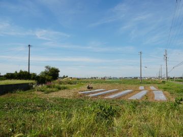 株式会社トリイアンドカンパニー-1