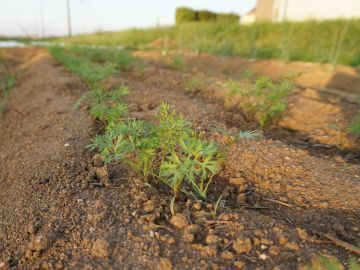 株式会社トリイアンドカンパニー-4