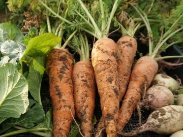 株式会社トリイアンドカンパニー-7