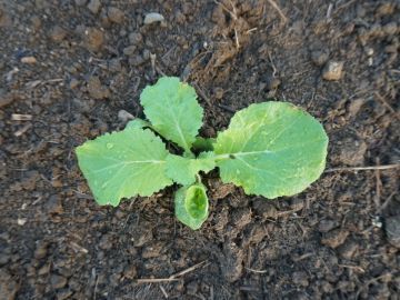 株式会社トリイアンドカンパニー-8