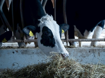 北海道別海町×酪農/法人【43490】-7