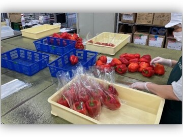 株式会社ワタリ 成田流通センター-1