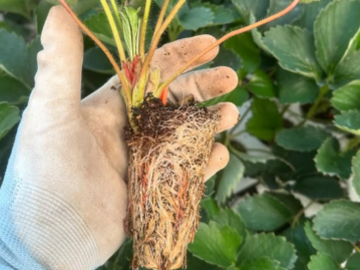 SweetDiary株式会社-4