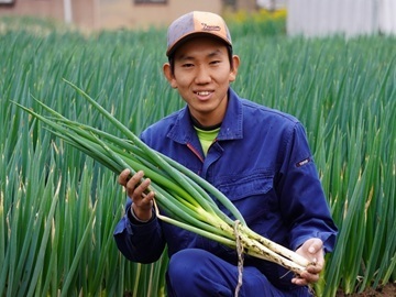 砂丘ファーム-top