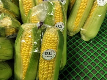 砂丘ファーム-3