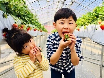 SweetDiary株式会社-2