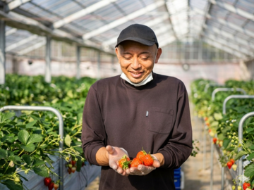 SweetDiary株式会社-top