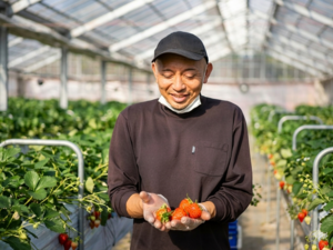 SweetDiary株式会社-top