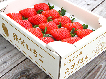 SweetDiary株式会社-1