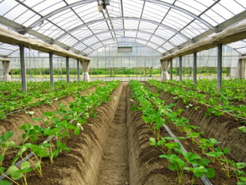 SweetDiary株式会社-6