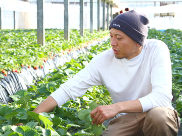 SweetDiary株式会社-3