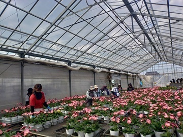 農事組合法人ハイフラワー-1