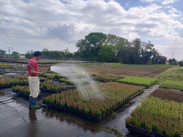 農事組合法人ハイフラワー-2