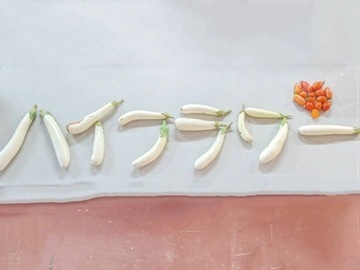 農事組合法人ハイフラワー-8